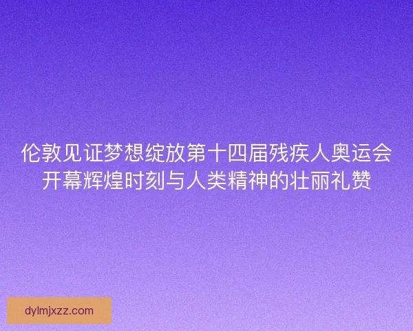 伦敦见证梦想绽放第十四届残疾人奥运会开幕辉煌时刻与人类精神的壮丽礼赞